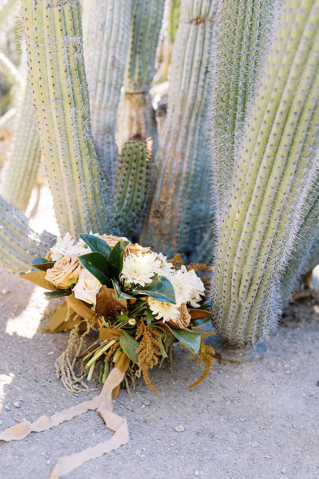 Wedding bouquet laid down at the bottom of cactus. Bouquet has natural colored flowers perfect for a desert elopement. Elopement photographer in Texas