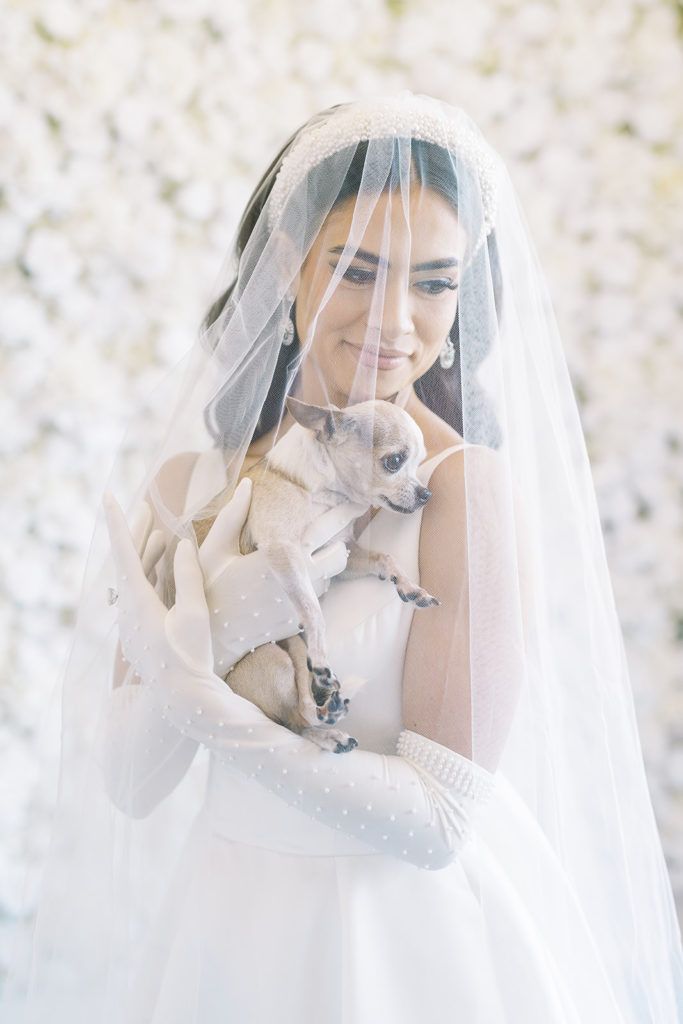 Bride holding her dog while getting dressed for wedding. Wedding veil and wedding gloves. 